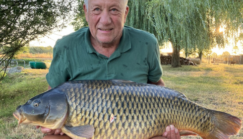 A carp from Carrouge, Jul 2026