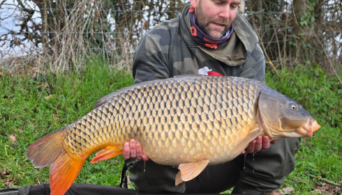 A carp from Carrouge, Maxence, Feb 2026
