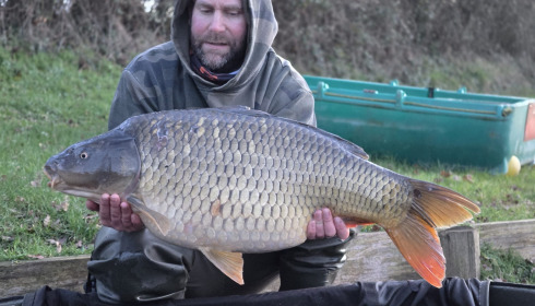 A carp from Carrouge, Feb 2026