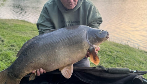 A carp from Carrouge, May 2025