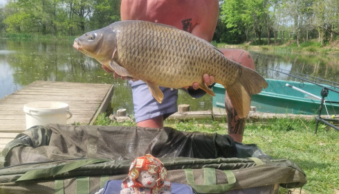 A 23 lb 14 oz carp from Lakeview, Simon & Ted the Red, Apr 2026
