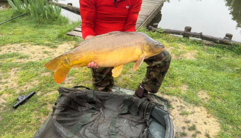 A 29 lb carp from Lakeview, Simon, Apr 2026