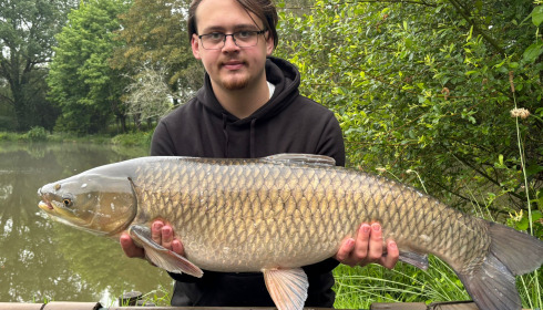 A carp from Lakeview, May 2026