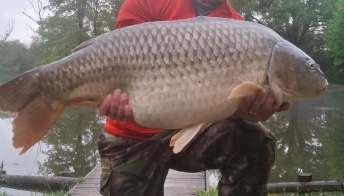 A 45 lb 4 oz carp from Lakeview, Simon, Apr 2026