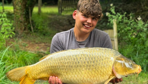 A carp from Lakeview, Logan, Aug 2025