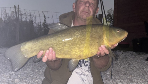 A carp from Ilot, Sep 2026