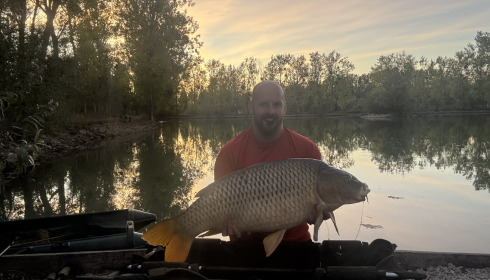 A carp from Ilot, Sep 2026
