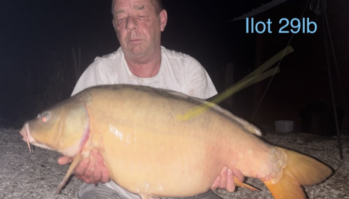 A carp from Ilot, Sep 2026
