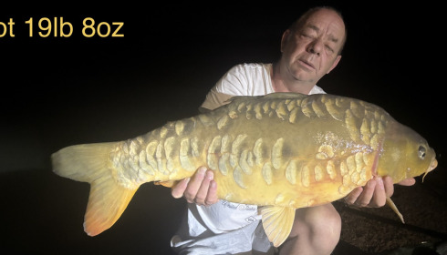 A carp from Ilot, Sep 2026