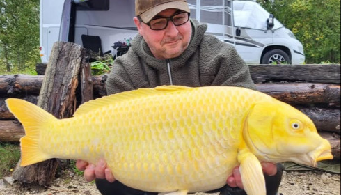 A carp from Grandes Cimes, Oct 2025