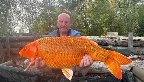 A carp from Grandes Cimes, Aug 2026