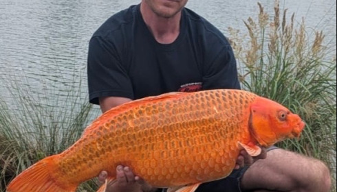 A 22 lb carp from Grandes Cimes, Buschell, Jul 2026