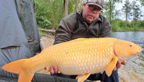 A carp from Grandes Cimes, May 2026