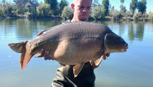 A carp from Grandes Cimes, Sep 2026