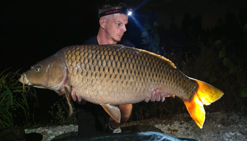 A carp from Grandes Cimes, Sep 2026