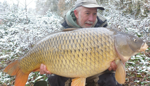 A carp from MDP Lake, Nov 2025