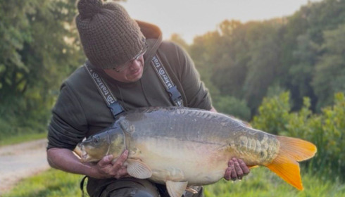 A carp from Carp House, Apr 2026
