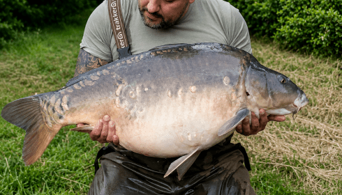 A 50 lb 2 oz carp from Carp House, 51.8lb Mirror, Jun 2026