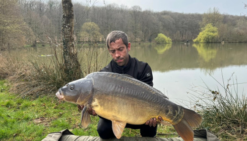 A carp from Carp House, Mar 2026