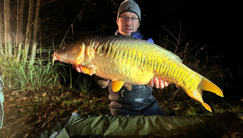 A carp from Carp House, Mar 2026