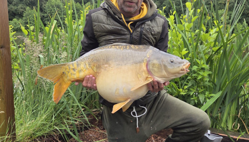 A carp from Carp House, May 2026