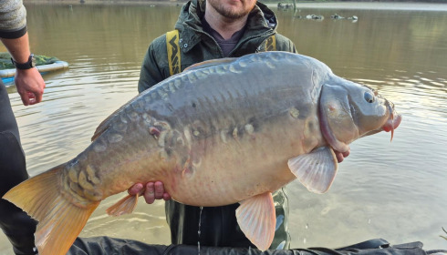 A carp from Carp House, Mar 2026