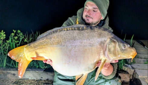 A carp from Carp House, Apr 2026