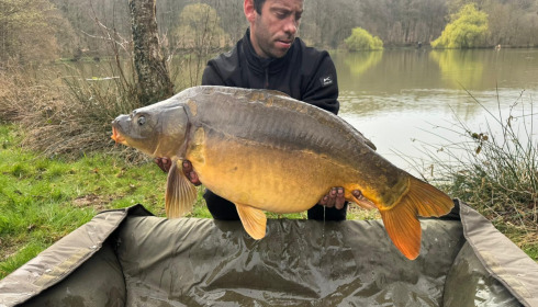A carp from Carp House, Mar 2026