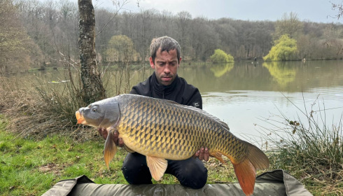 A carp from Carp House, Mar 2026