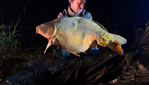 A carp from Carp House, Mar 2026