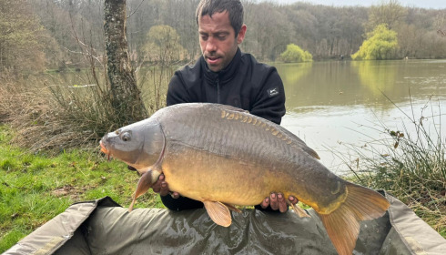 A carp from Carp House, Mar 2026