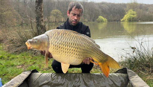 A carp from Carp House, Mar 2026