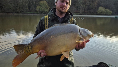 A carp from Carp House, Mar 2026