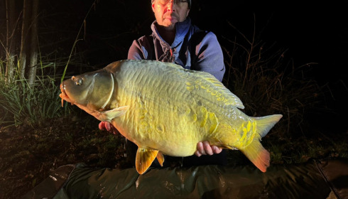 A carp from Carp House, Mar 2026