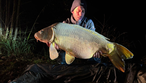 A carp from Carp House, Mar 2026
