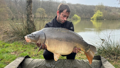 A carp from Carp House, Mar 2026