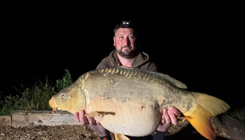 A carp from Carp House, May 2026