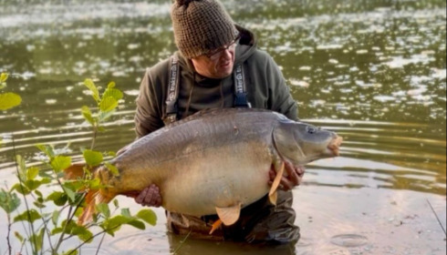 A carp from Carp House, Apr 2026