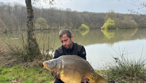 A carp from Carp House, Mar 2026