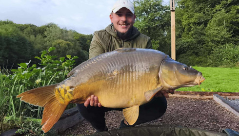 A carp from Carp House, Sep 2025