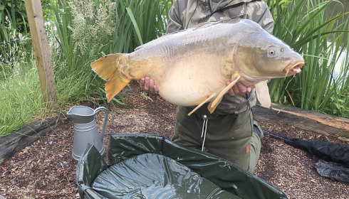 A carp from Carp House, 52 mirror, May 2026