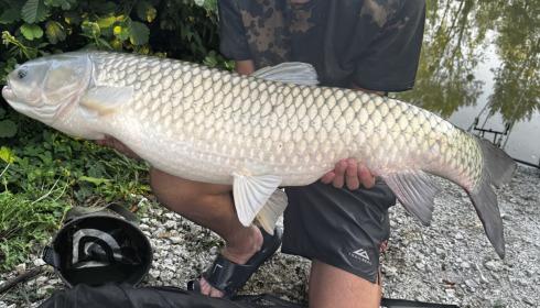 A 24 lb 2 oz grass carp from Le Repaire, Noah Dunn, Aug 2026