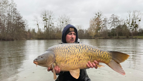 A carp from Le Repaire, Jan 2026