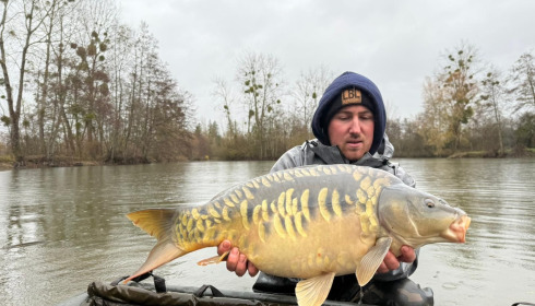 A carp from Le Repaire, Jan 2026