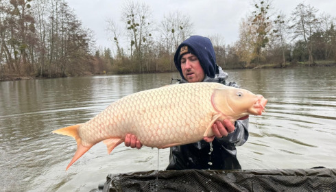 A carp from Le Repaire, Jan 2026