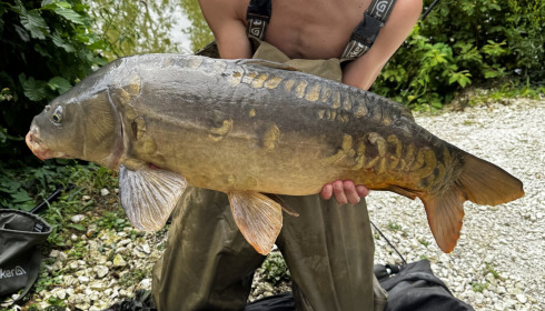 A 18 lb 7 oz carp from Le Repaire, Noah Dunn, Aug 2026