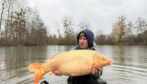 A carp from Le Repaire, Jan 2026