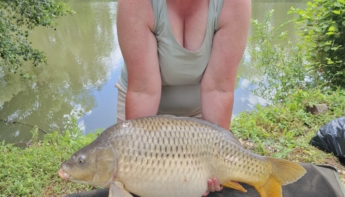 A carp from Le Repaire, Jun 2026