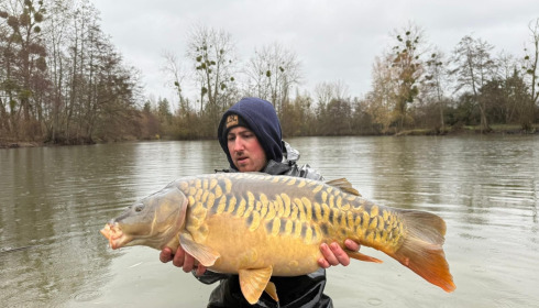 A carp from Le Repaire, Jan 2026
