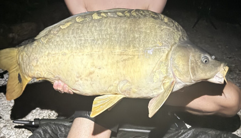 A 30 lb 4 oz carp from Le Repaire, Noah Dunn, Aug 2026